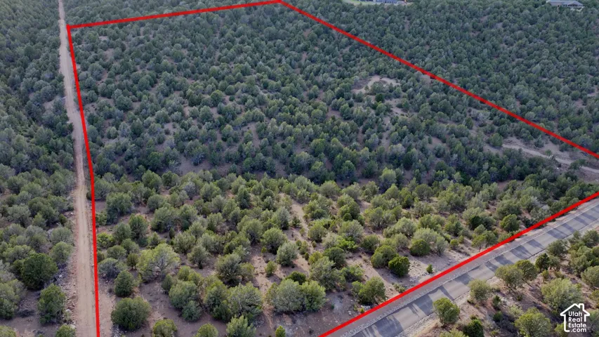 Expansive lot featuring mature trees, natural topography, and road access