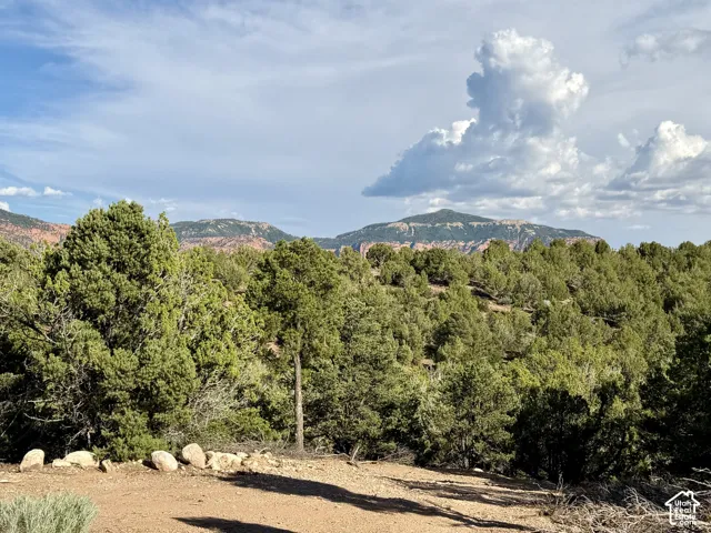 Expansive property featuring native vegetation, scattered rock outcroppings, and prominent mountain backdrops