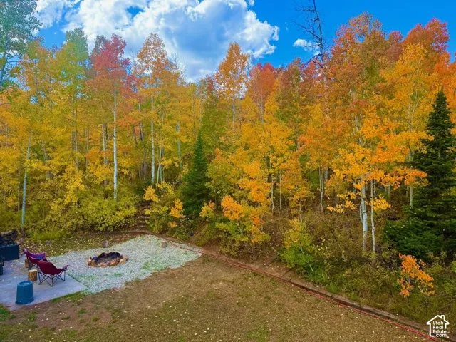 Expansive outdoor space featuring a paved patio, gravel fire pit area, and a surrounding forest with colorful deciduous trees