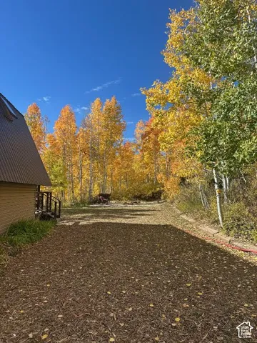 Spacious outdoor area featuring a wood chip ground cover, surrounded by mature deciduous trees with vibrant fall foliage