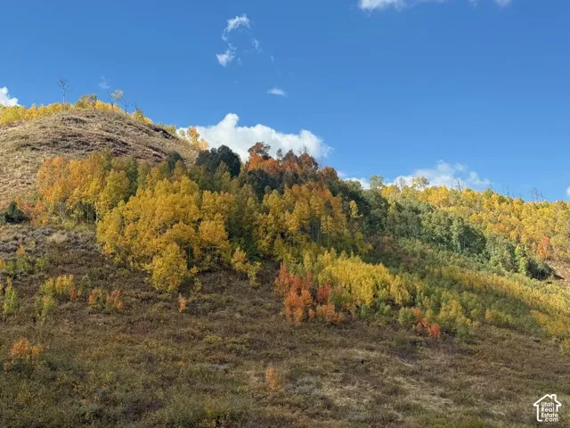 Expansive natural landscape featuring rolling hills and vibrant autumn foliage