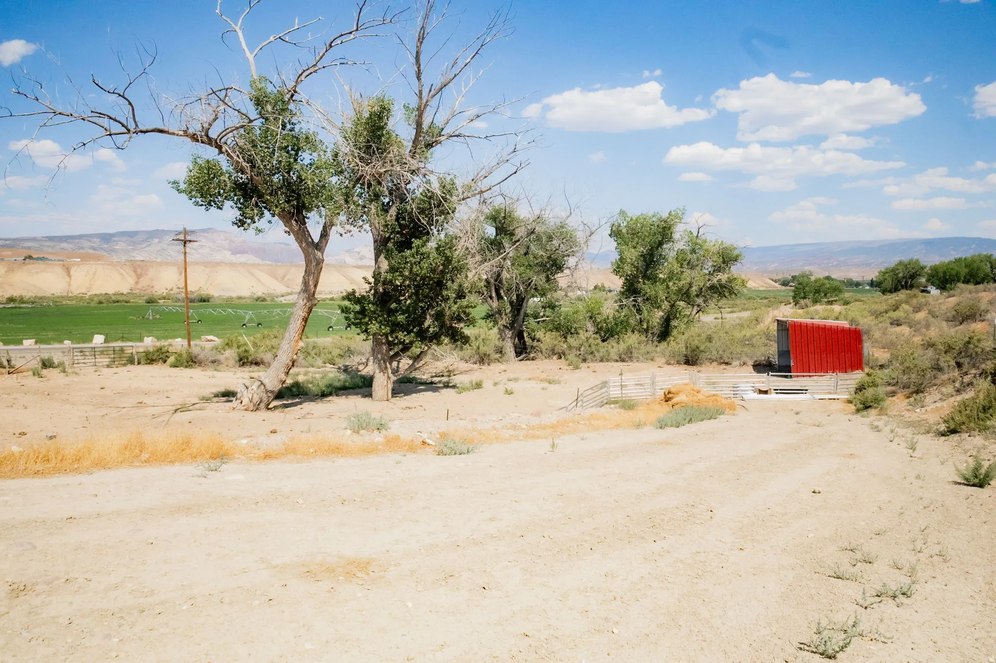 Expansive outdoor area featuring a bright red utility structure, mature trees, and a distant green field