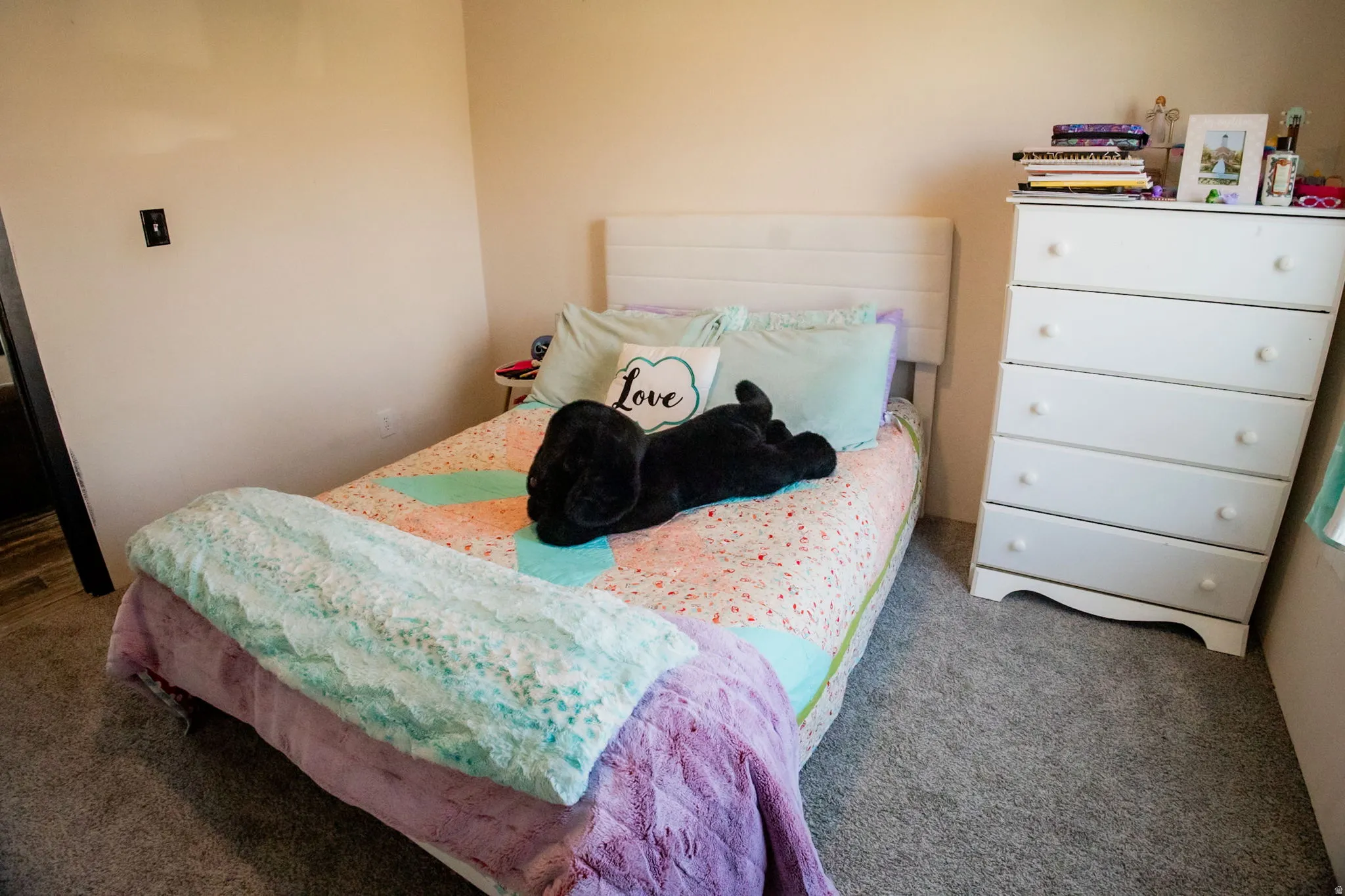 Plush grey carpeting complements neutral wall tones