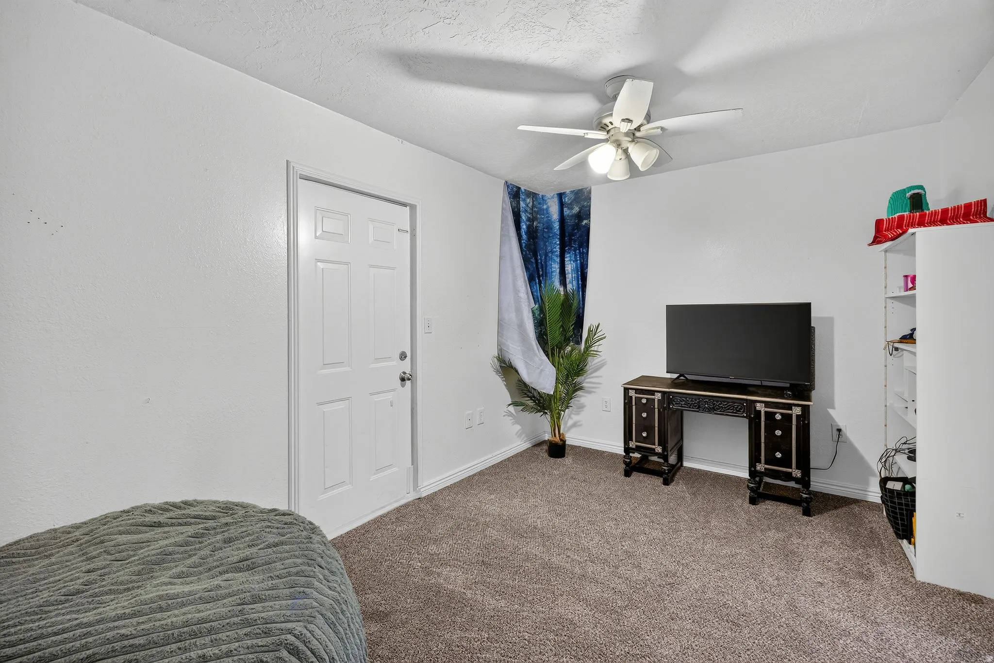 Carpeted room with a ceiling fan light fixture