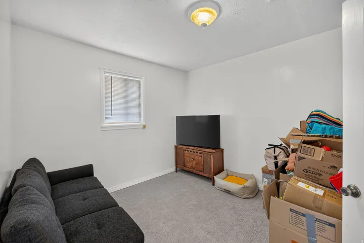 Room featuring light gray carpet, a single window with blinds, white walls, and a ceiling-mounted light fixture