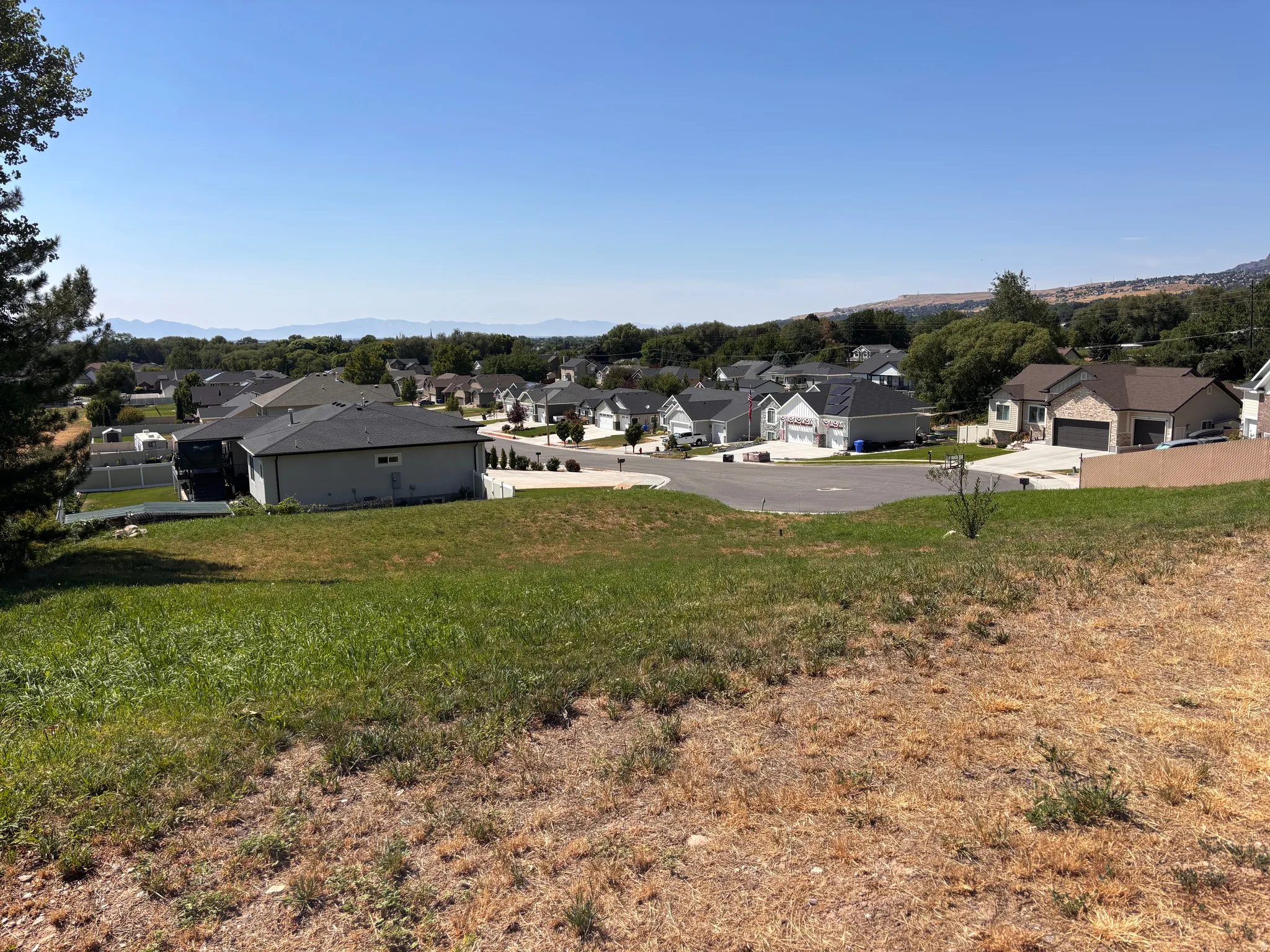 Expansive undeveloped lot featuring a gentle slope and partial mature tree coverage