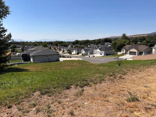 Expansive undeveloped lot featuring a gentle slope and partial mature tree coverage
