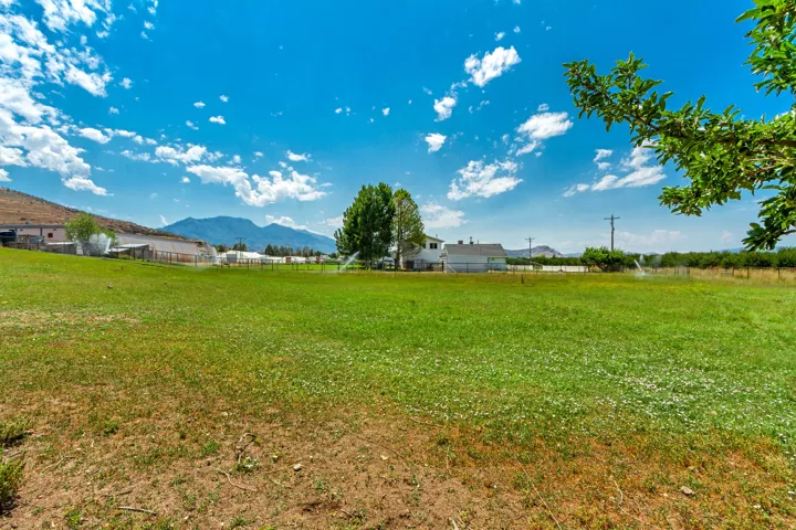 Expansive green space featuring a large lawn area