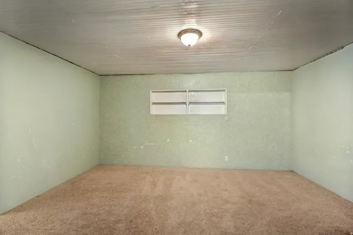 Spacious room featuring light green walls, brown carpet flooring, a ceiling-mounted light fixture, and a built-in shelving unit