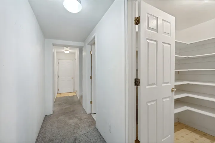 Hallway with gray carpeting, flush mount lighting, and a paneled interior door opening to a storage area featuring built-in shelving and vinyl flooring