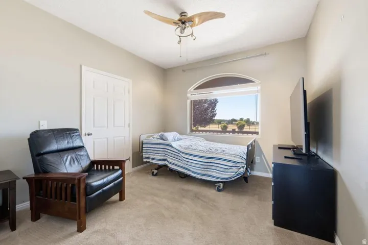 Carpeted room featuring a white paneled door, a large arched window, and a ceiling fan with light fixture
