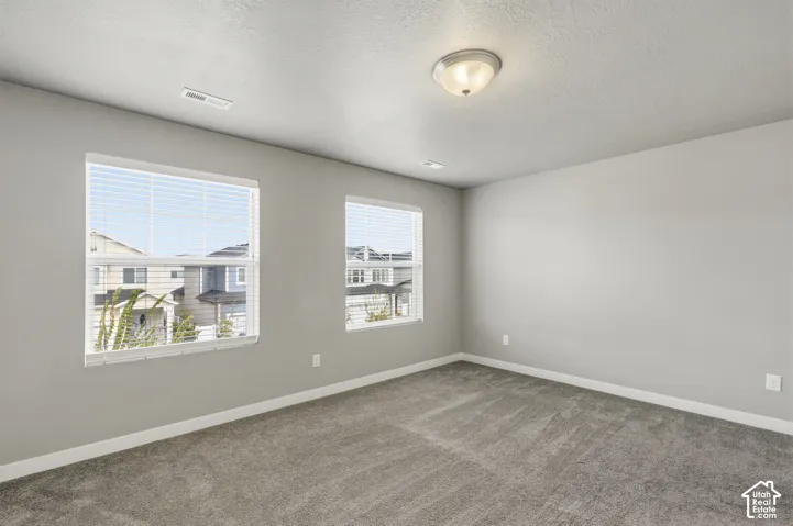 Neutral-toned room featuring grey wall-to-wall carpeting, dual windows with integrated blinds, and a semi-flush mount ceiling fixture