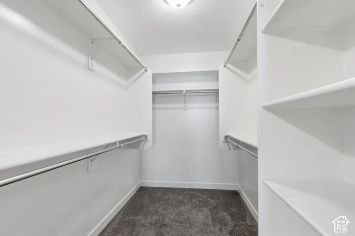 Walk-in closet featuring tiered metal garment rods, white built-in shelving, and wall-to-wall carpeting