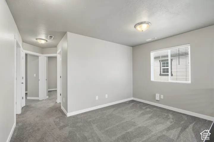 Neutral-toned wall paint, wall-to-wall carpeting, flush-mount ceiling lighting, and a dual-pane window