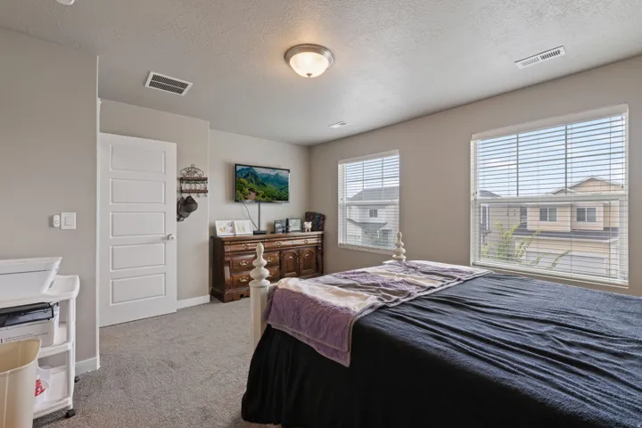 Bedroom featuring two windows with horizontal blinds, neutral-toned carpeting, and a flush mount ceiling light fixture