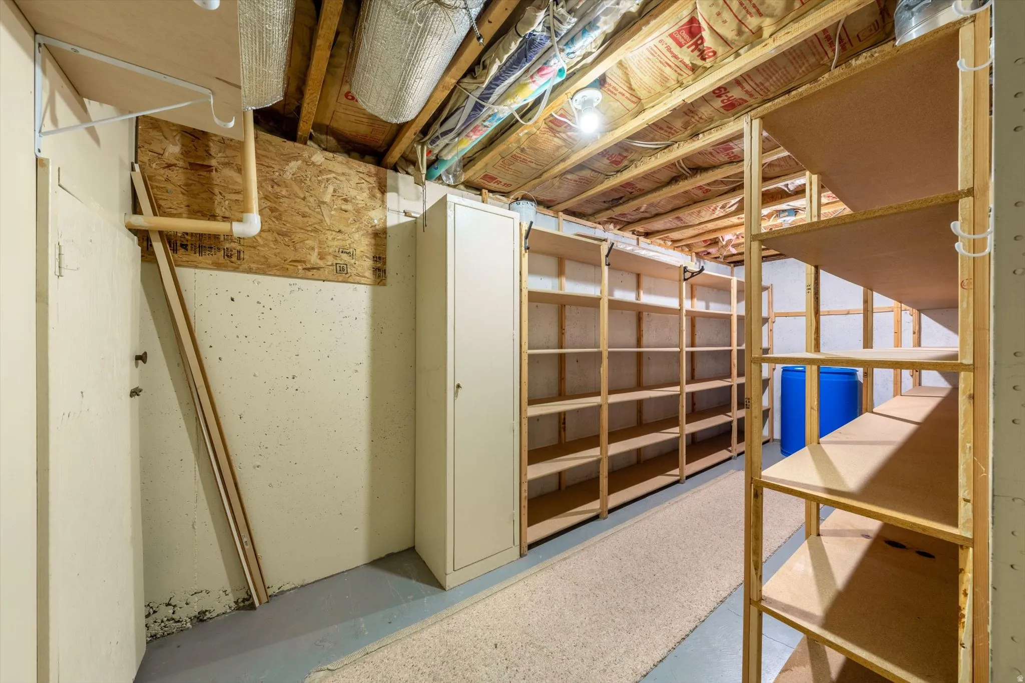 Storage area featuring built-in shelving, exposed ceiling joists, and a utility cabinet