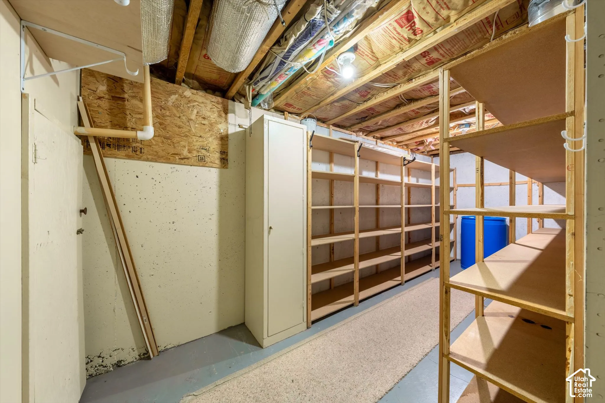 Storage area featuring built-in shelving, exposed ceiling joists, and a utility cabinet