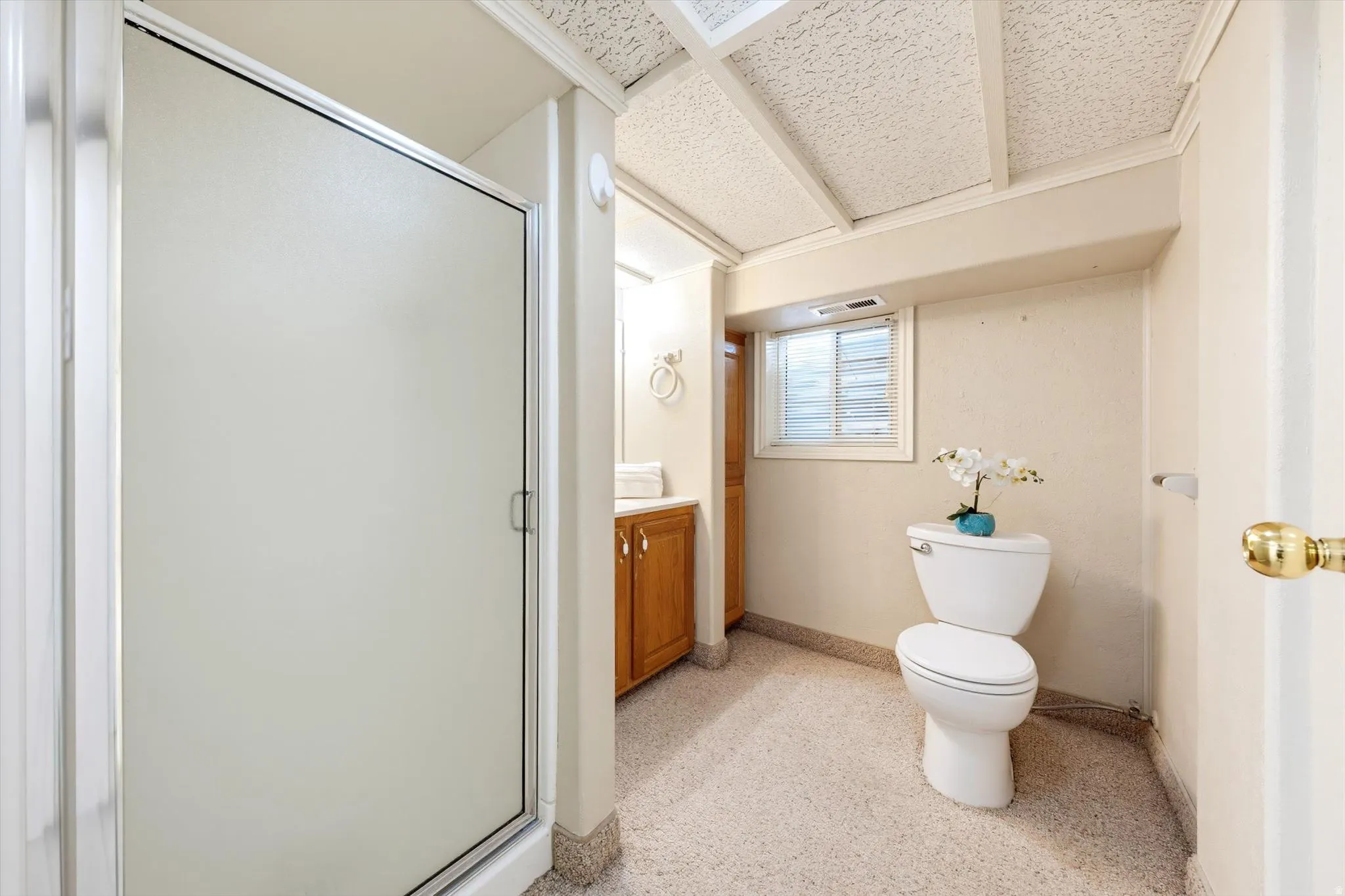 Frosted glass shower enclosure, white toilet, single vanity with wood-finish cabinetry, and a window with horizontal blinds
