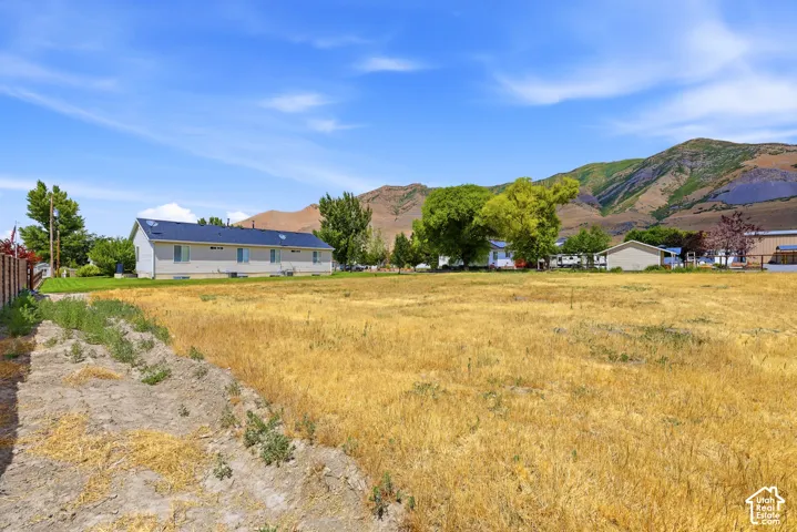 Expansive undeveloped land parcel featuring golden-toned natural grasses and a distant mountainous backdrop