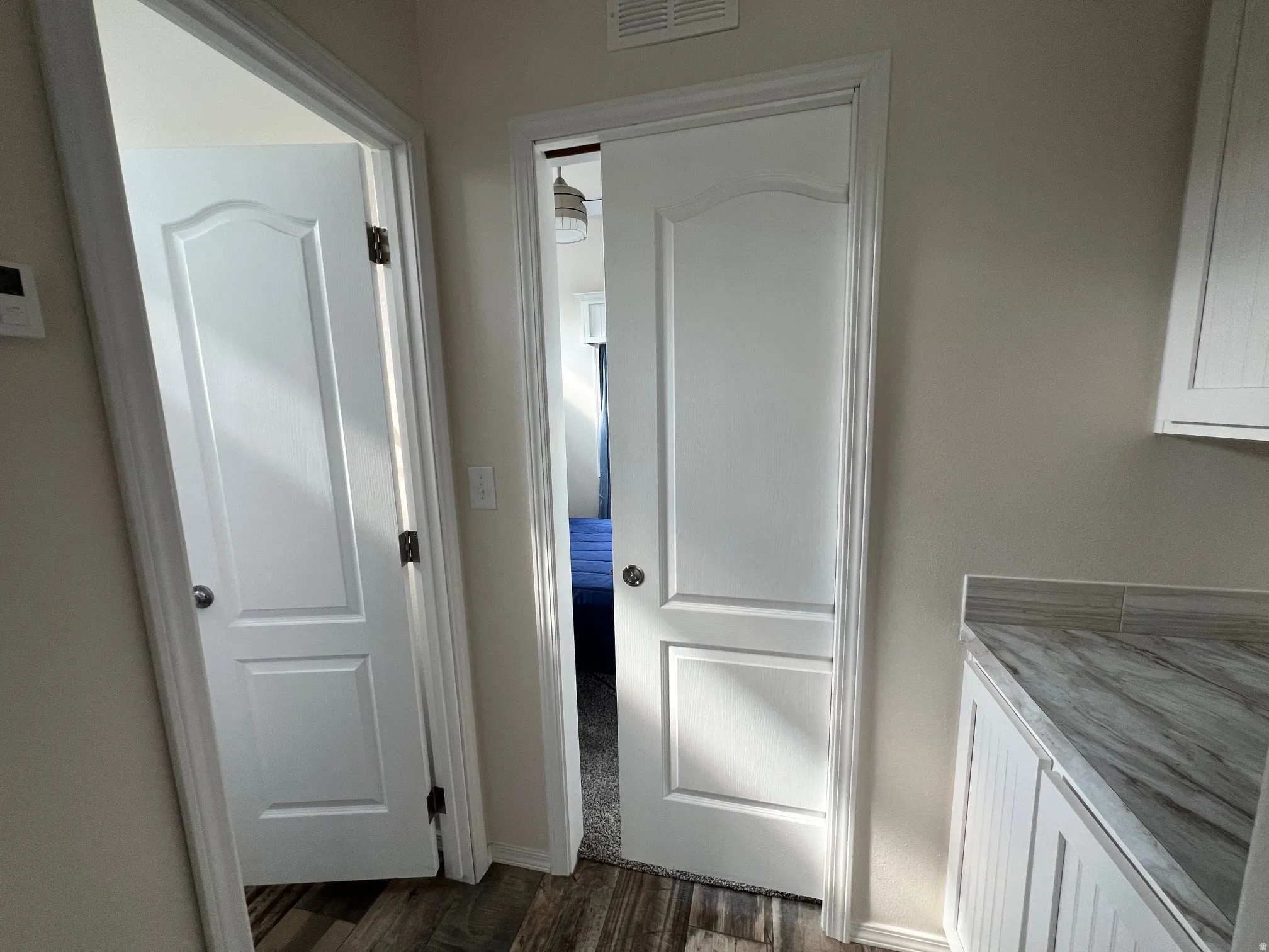Interior hallway featuring two paneled doors, wood-finish flooring, and light neutral wall paint