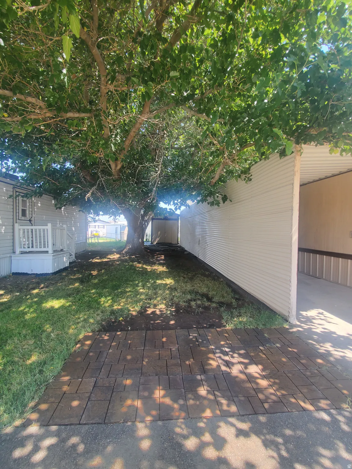 Mature tree providing shade, paver patio, and white siding