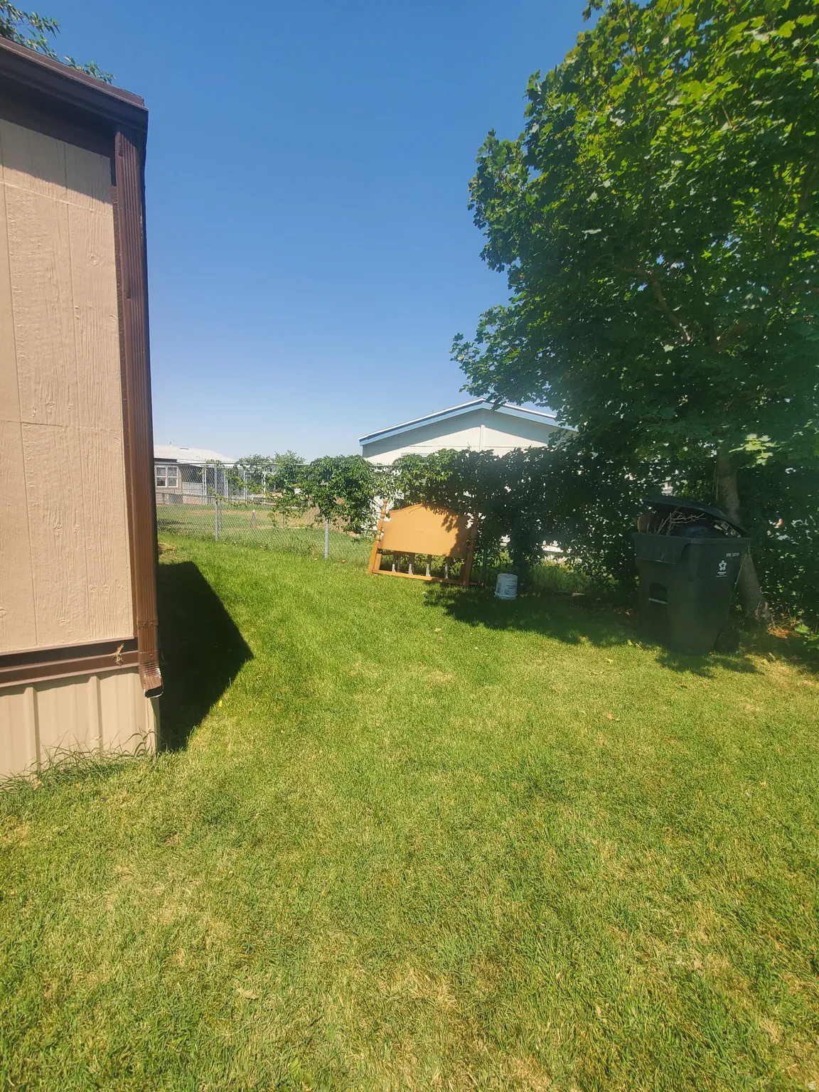 Expansive grass yard with mature tree providing shade