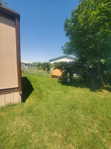 Expansive grass yard with mature tree providing shade