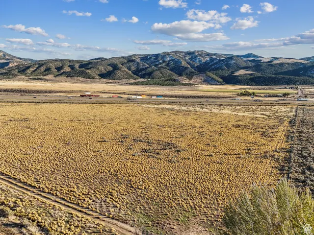 Expansive rural landscape featuring a vast, golden-hued field and distant mountain range