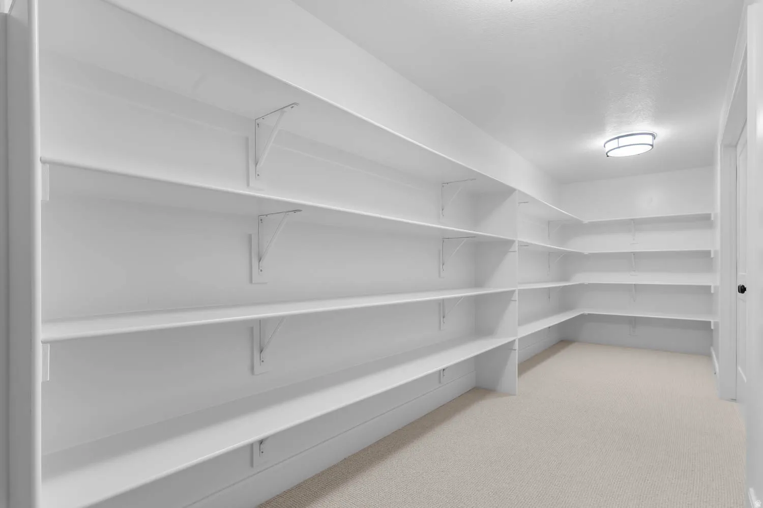 Spacious storage room featuring extensive built-in white shelving, recessed lighting, and neutral carpeting