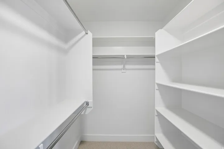 Walk-in closet featuring white built-in shelving, multiple hanging rods, and carpet flooring