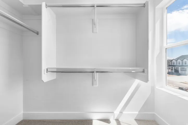 Walk-in closet with white walls, carpet flooring, and a large window