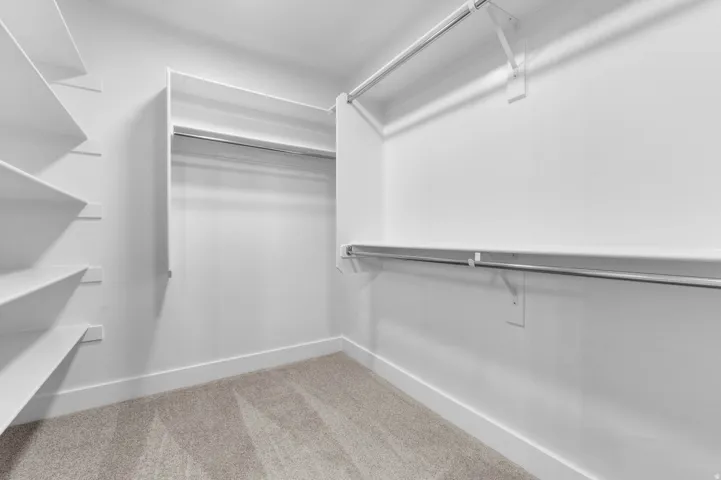 Walk-in closet featuring built-in shelving, white walls, white trim, and gray carpet