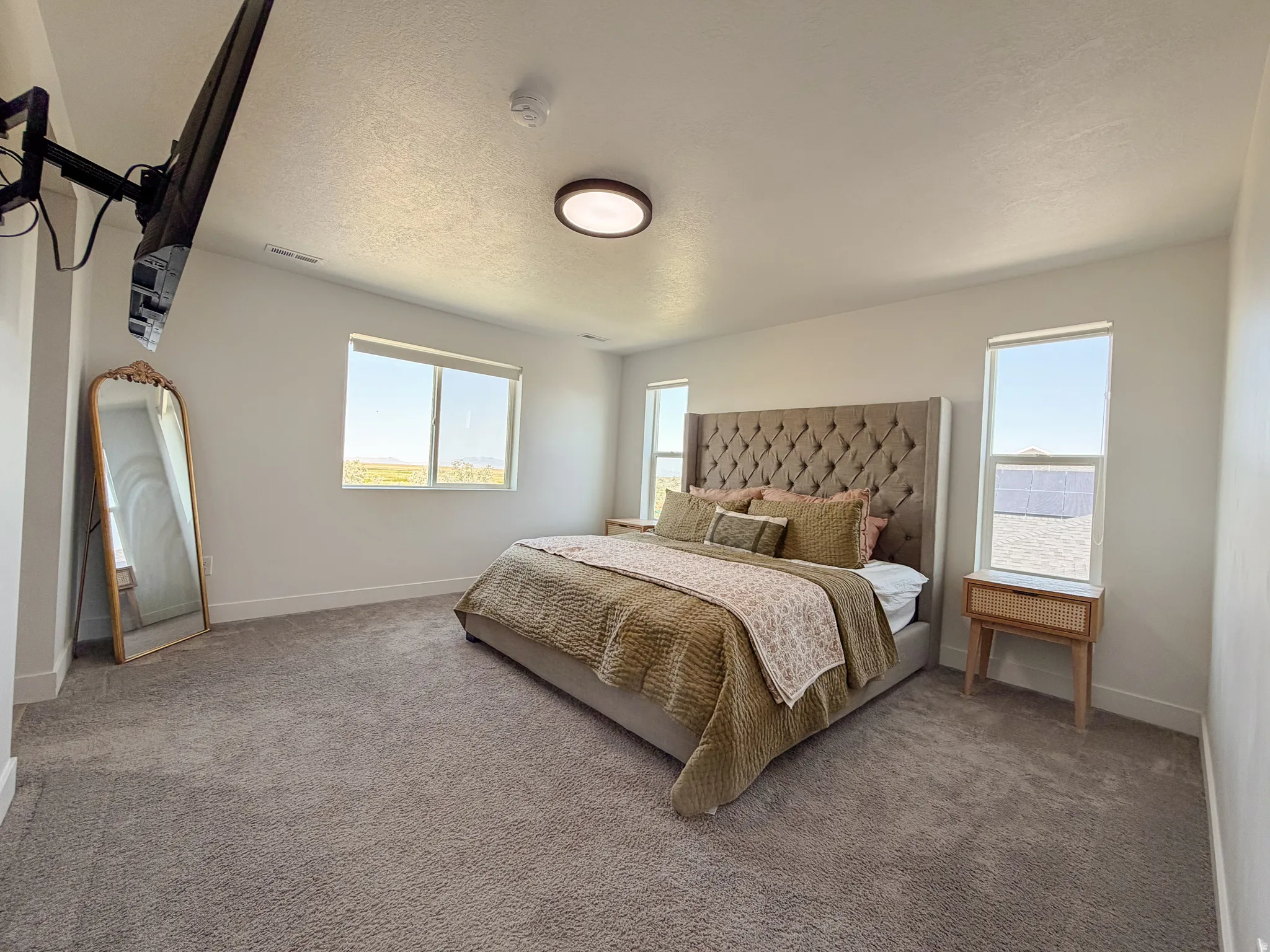 Carpeted room featuring multiple windows, a ceiling-mounted light fixture, and a wall-mounted television bracket