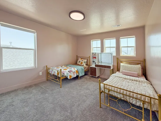 Spacious room featuring plush gray carpeting, a contemporary flush-mount ceiling light, and multiple windows providing ample natural illumination