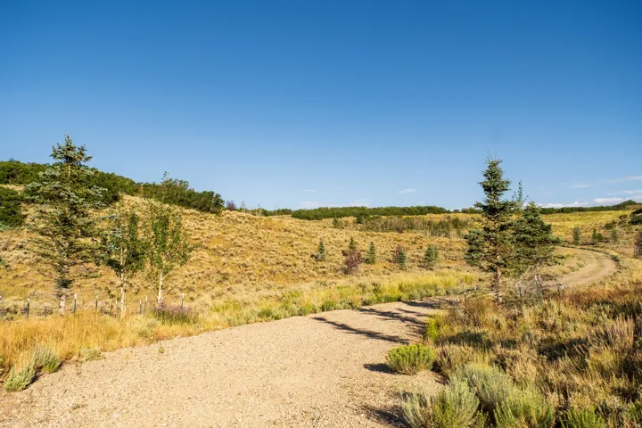 Expansive natural landscape featuring rolling hills and a winding gravel path