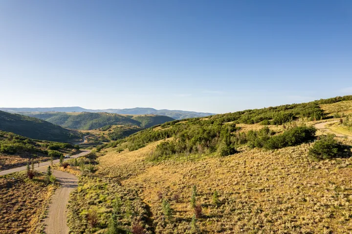 Expansive landscape featuring rolling hills and a winding dirt road