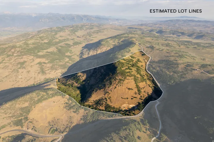 Expansive lot featuring varied topography, scattered trees, and natural vegetation