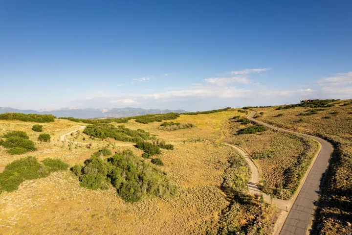 Paved road winding through a expansive landscape of natural vegetation and rolling hills