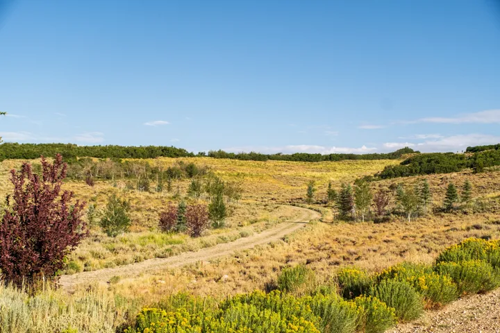 Expansive natural landscape with a winding dirt path