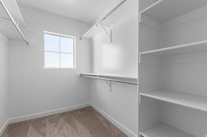 Walk-in closet with a transom window, wall-mounted shelving, multiple hanging rods, and neutral-toned carpeting