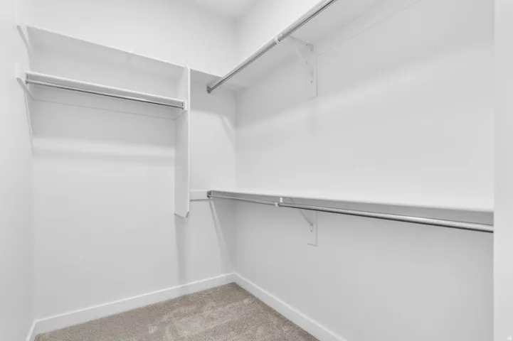 Walk-in closet featuring white walls, white shelving, metal hanging rods, and neutral carpet flooring