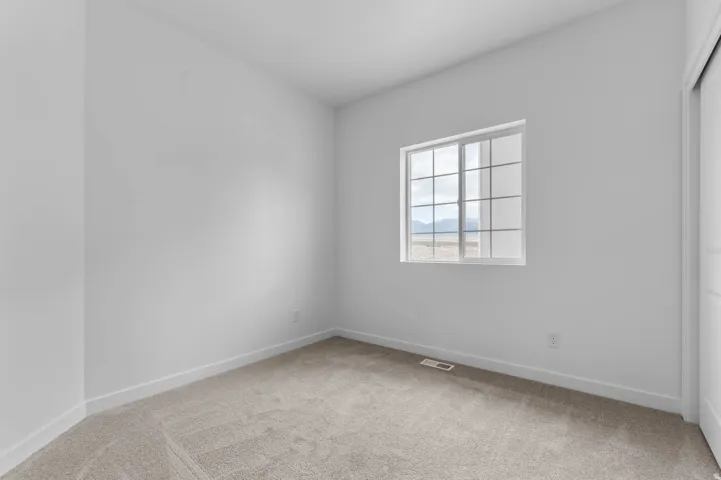 Windowed room featuring light gray carpeting, white walls, white trim, and a white framed window with grid panes