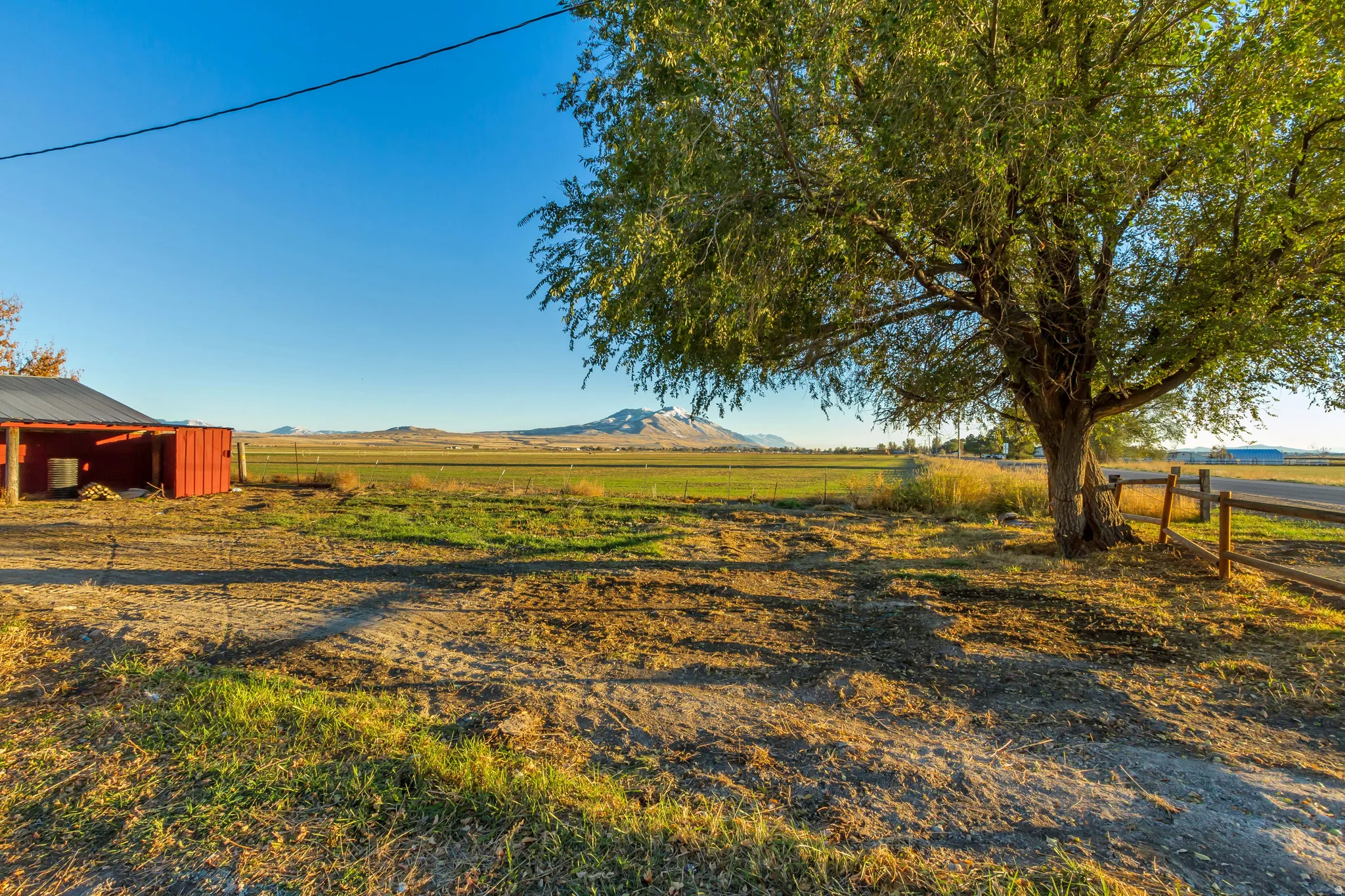 Expansive rural landscape featuring a mature deciduous tree, a red outbuilding with a dark roof, and a distant mountain range