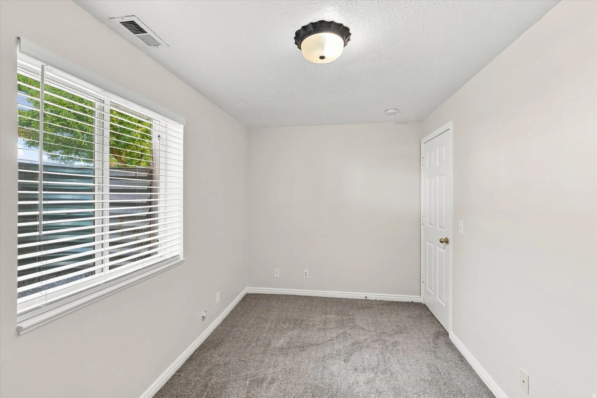 Neutral wall paint, gray carpet flooring, white trim, window with blinds, and a white paneled door