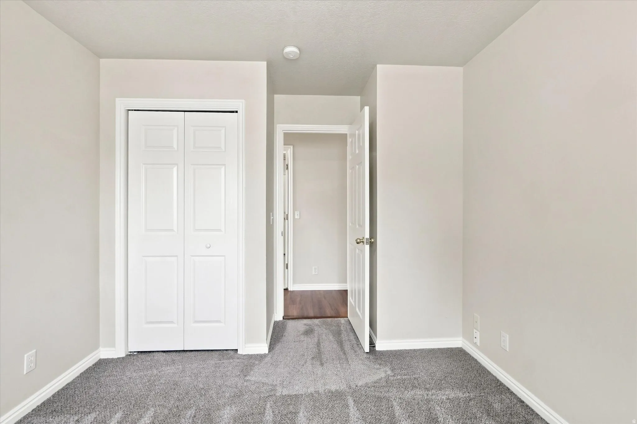 Neutral wall paint, gray carpeting, white trim, bi-fold closet doors, and a wood-finish flooring visible through an open doorway