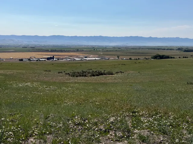 Expansive open land with distant mountain ranges, green pastureland, and scattered white wildflowers