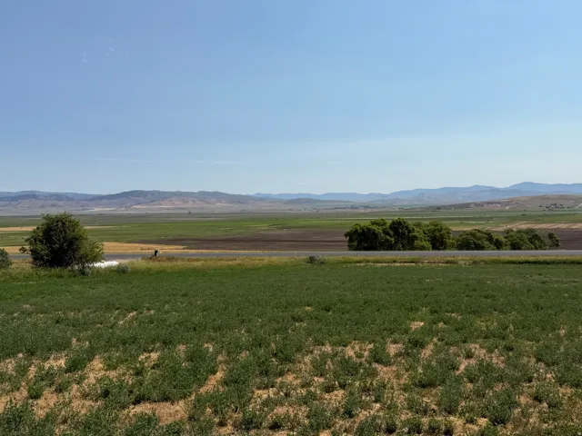 Expansive agricultural land featuring a foreground of green crops, a strip of paved roadway, and distant fields under a clear sky