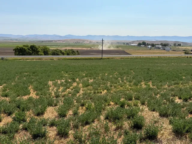 Expansive agricultural land featuring a cultivated field in the foreground, a paved road, distant farm buildings, and rolling hills forming a natural backdrop