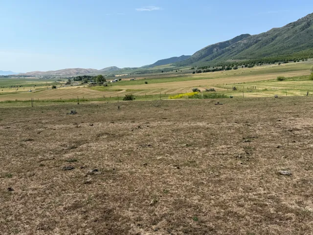 Expansive parcel featuring a rural setting with distant mountain ranges and scattered trees