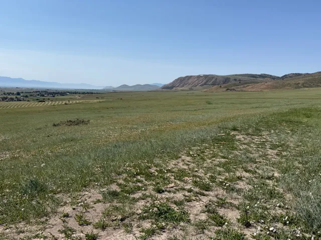 Expansive rural landscape featuring a vast, open field of natural grasses and distant mountain ranges